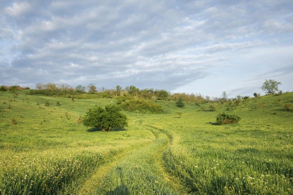 Wie kann man die Umweltbelastung durch Tourismus minimieren?